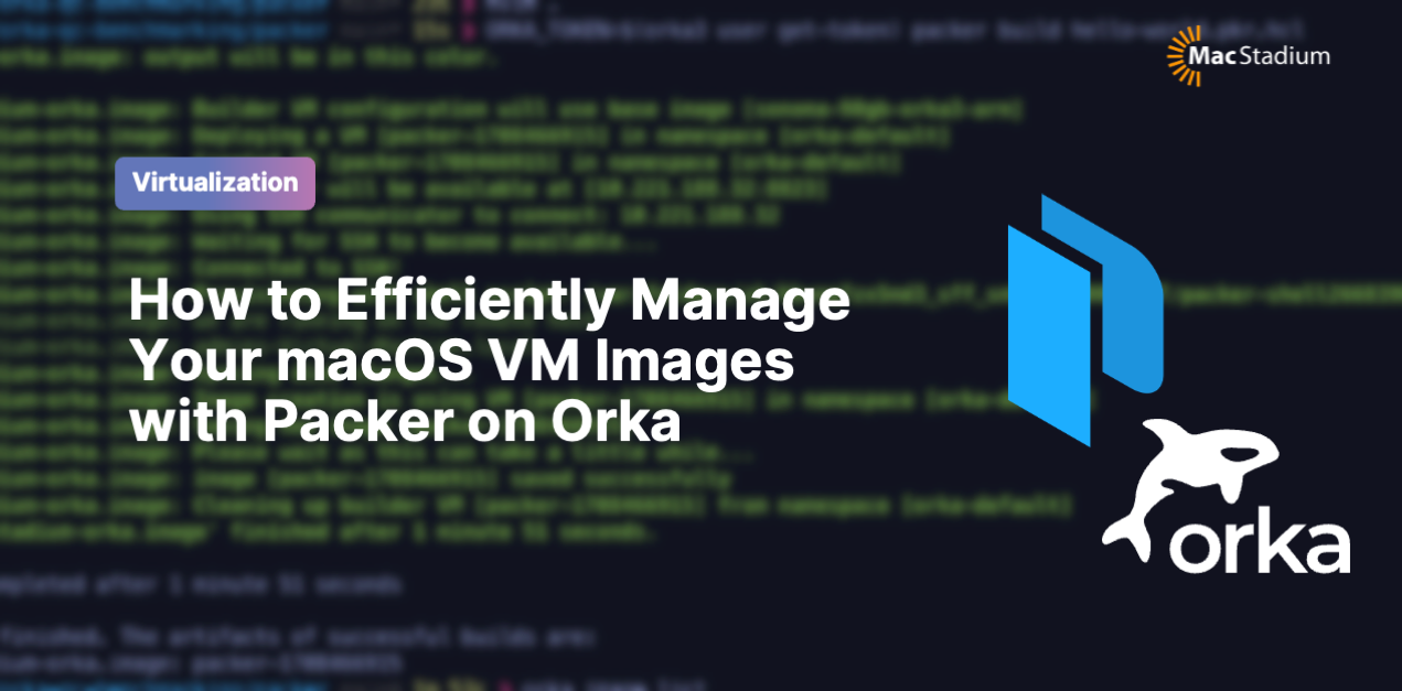 68a8e0ae9a1eff9058d98734_VM